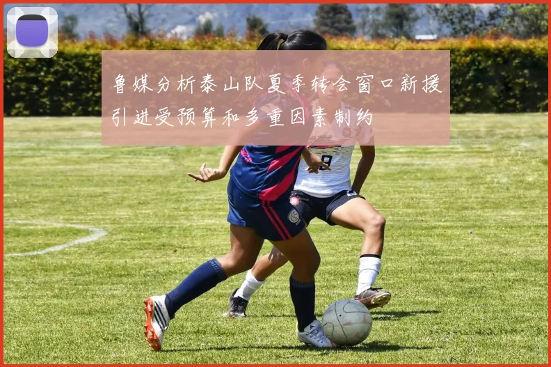 鲁媒分析泰山队夏季转会窗口新援引进受预算和多重因素制约